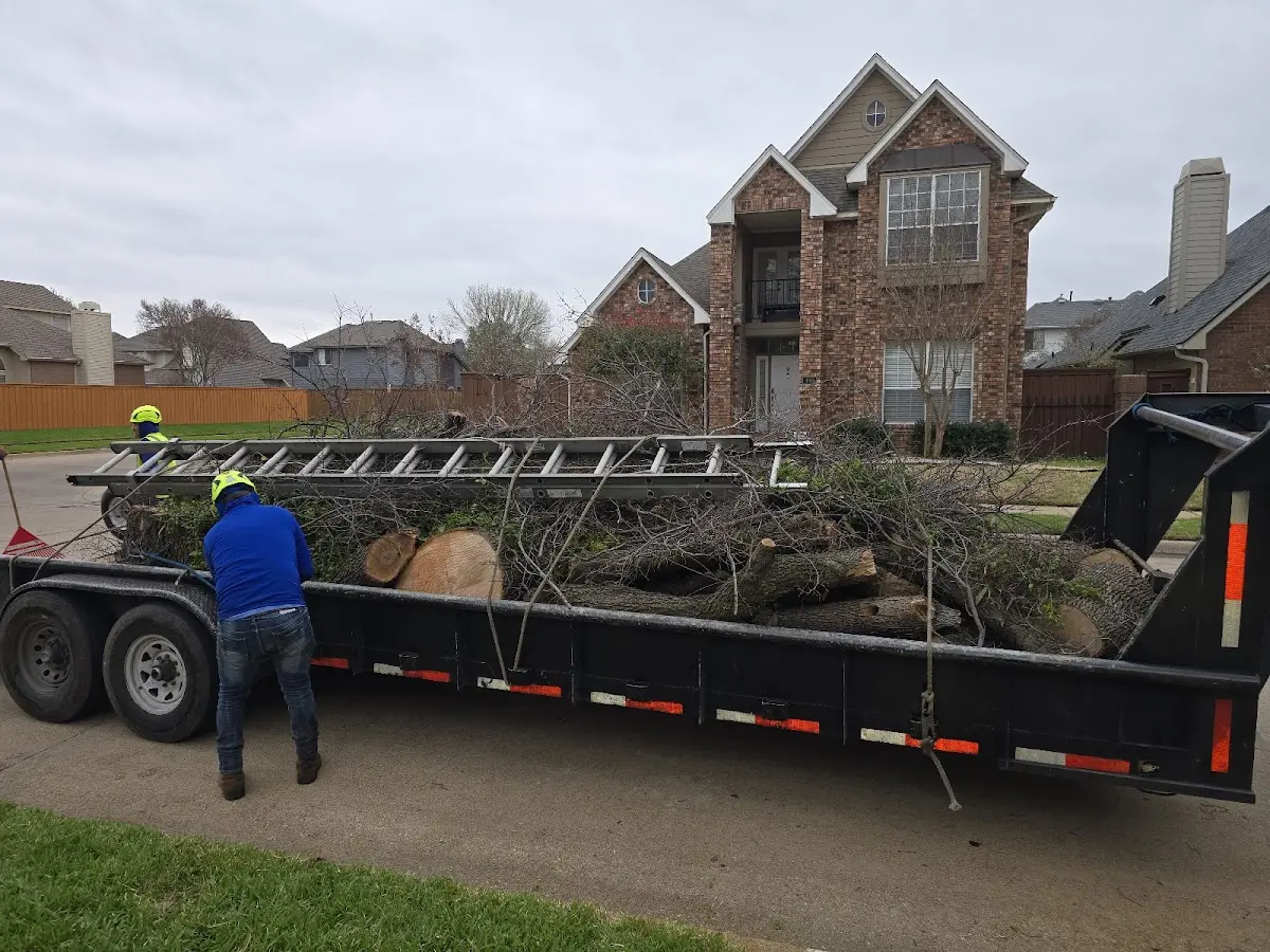 Expert Lot Clearing with proper safety equipment in Chandlerville